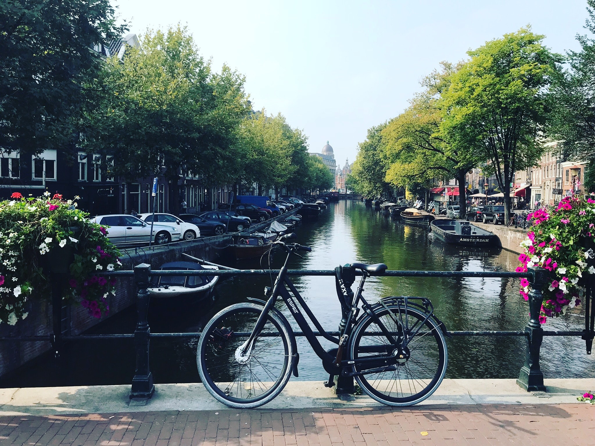 Relaxed Daytrip to Amsterdam