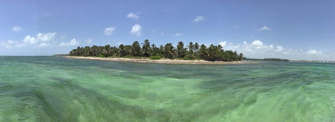 Coco-Loco & Mamajuana on Bacardi-island