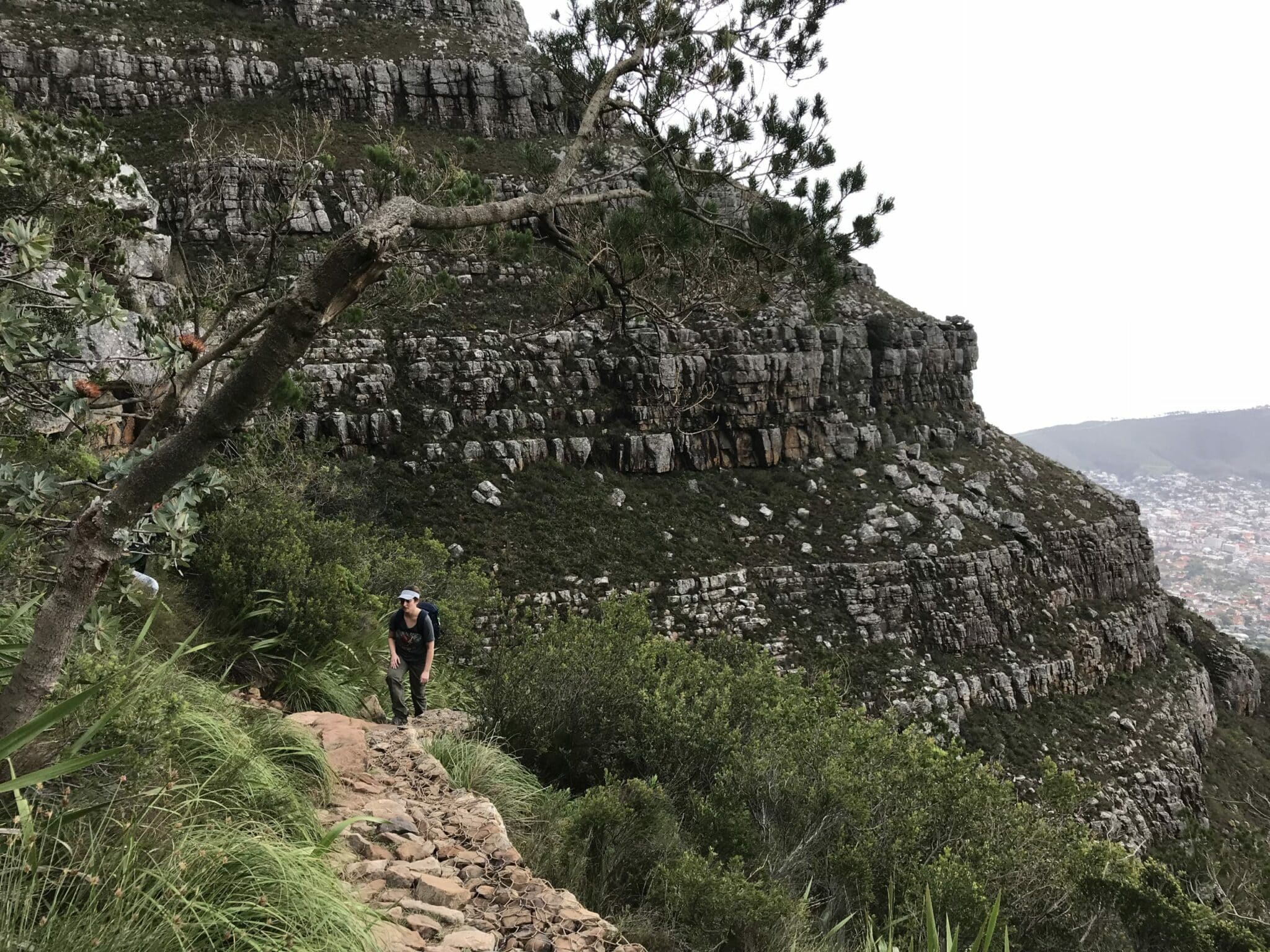 Trekking Table Mountain