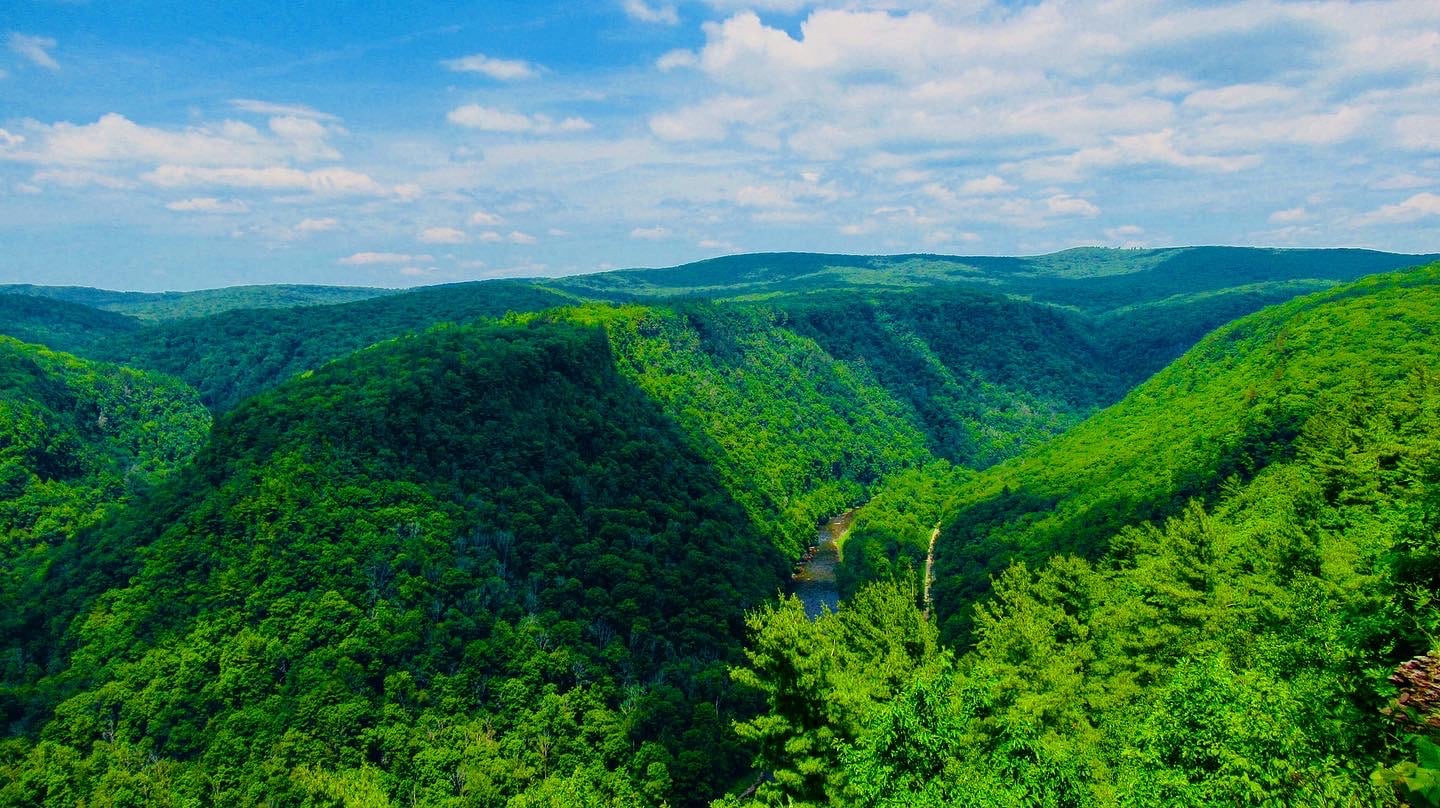 Grand Canyon of PA😍🌼