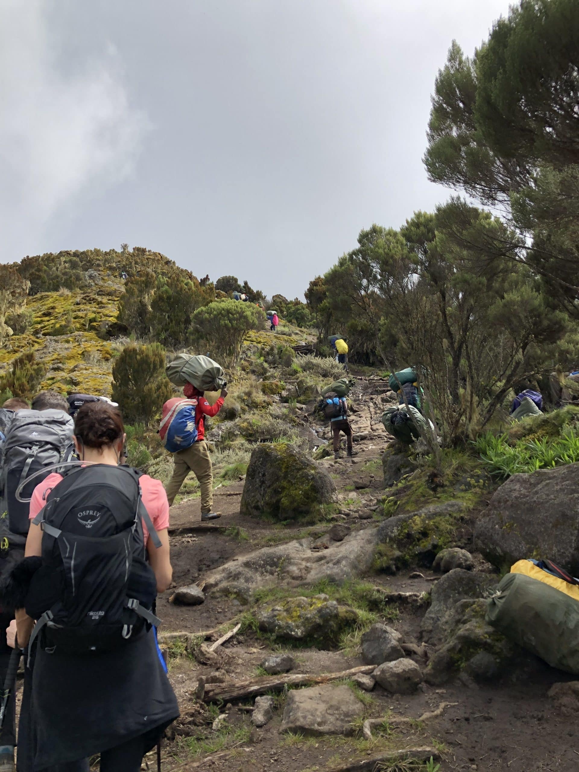 Climbing Kilimanjaro – An Ultimate Guide