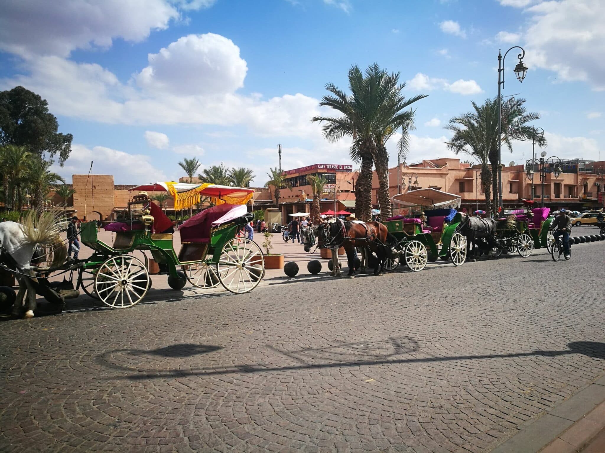 5 Days in Marrakech