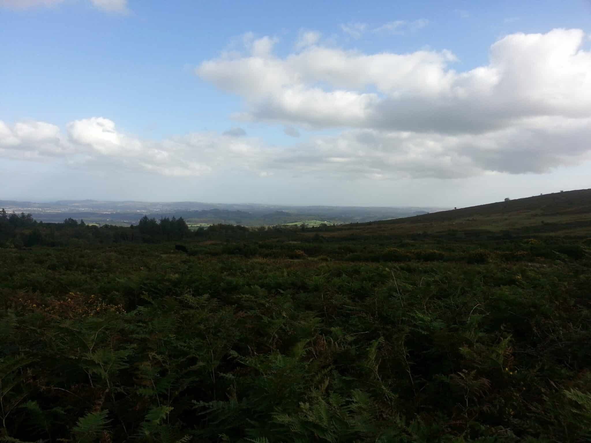 Day Trip: mystical moorland Dartmoor