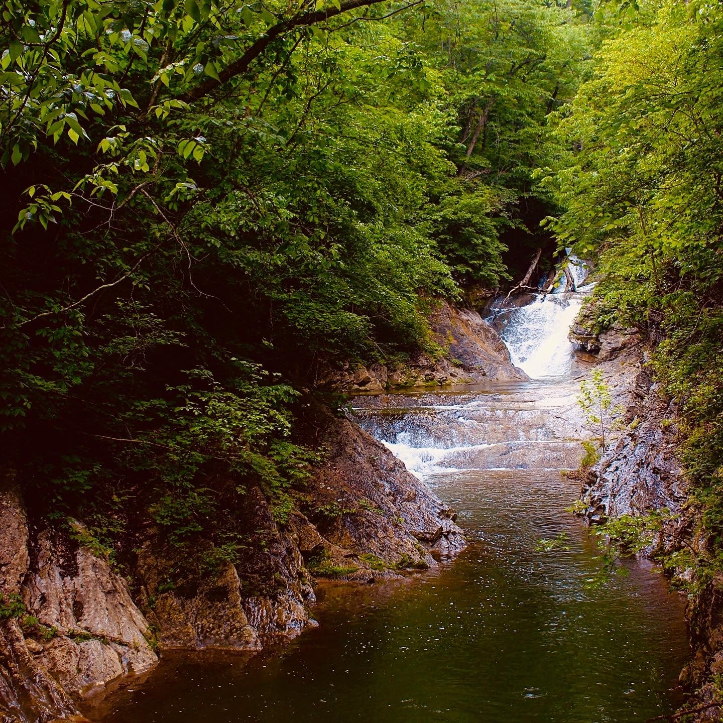 Natural Bridge Park and Blue Ridge Parkway.