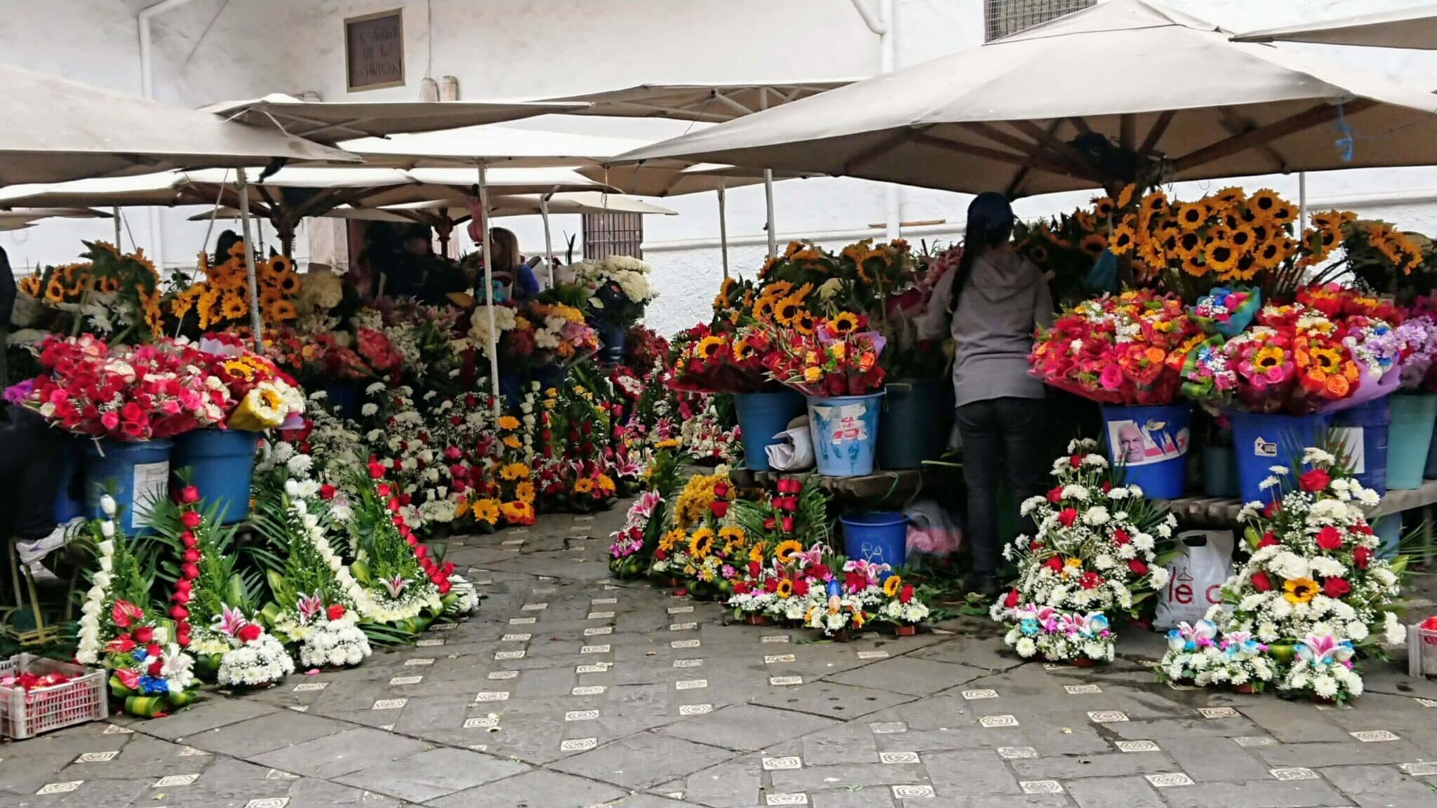 Cuenca… Heritage and Culture in Ecuador.
