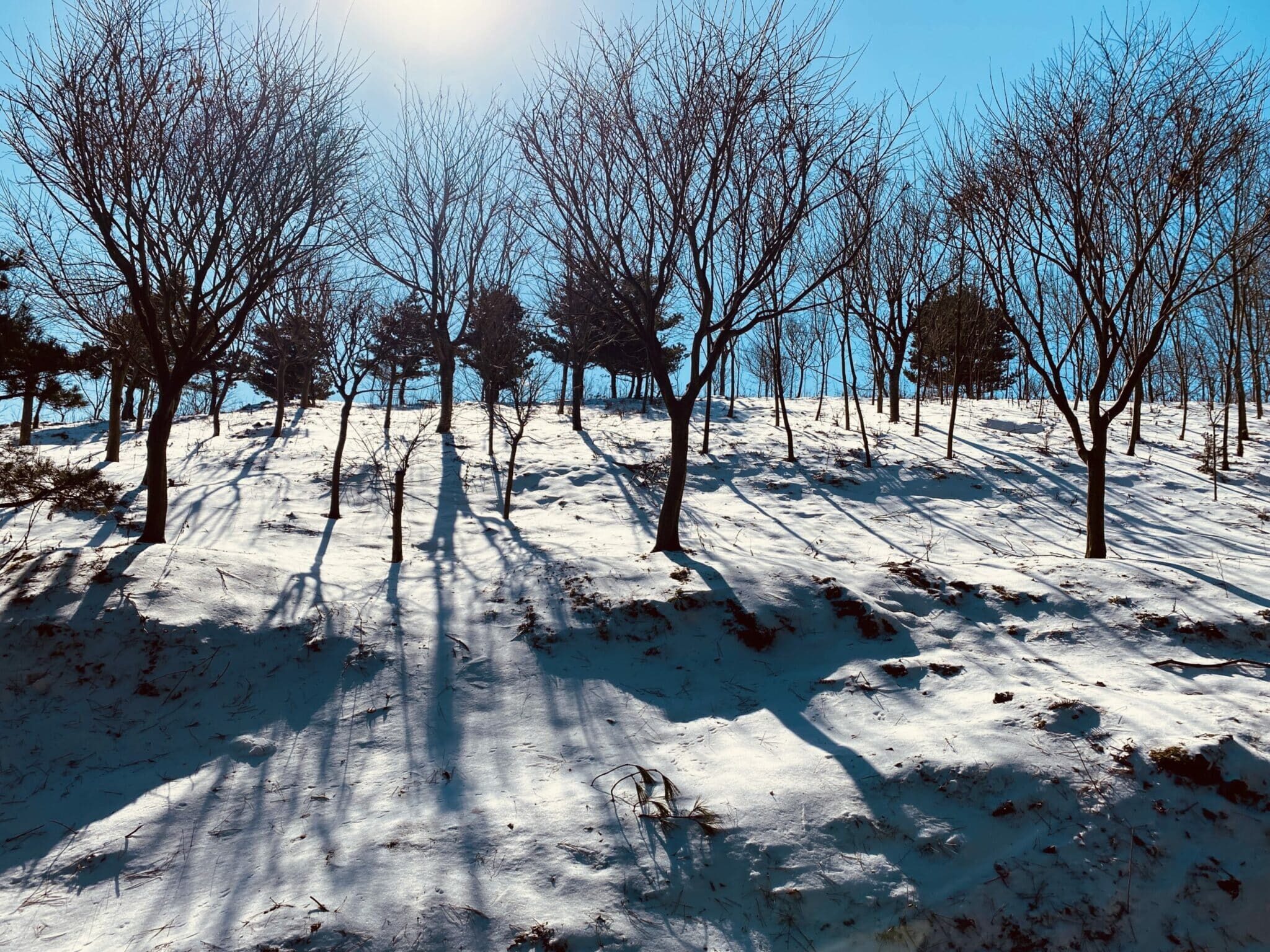 Simingshan in Winter 四明山