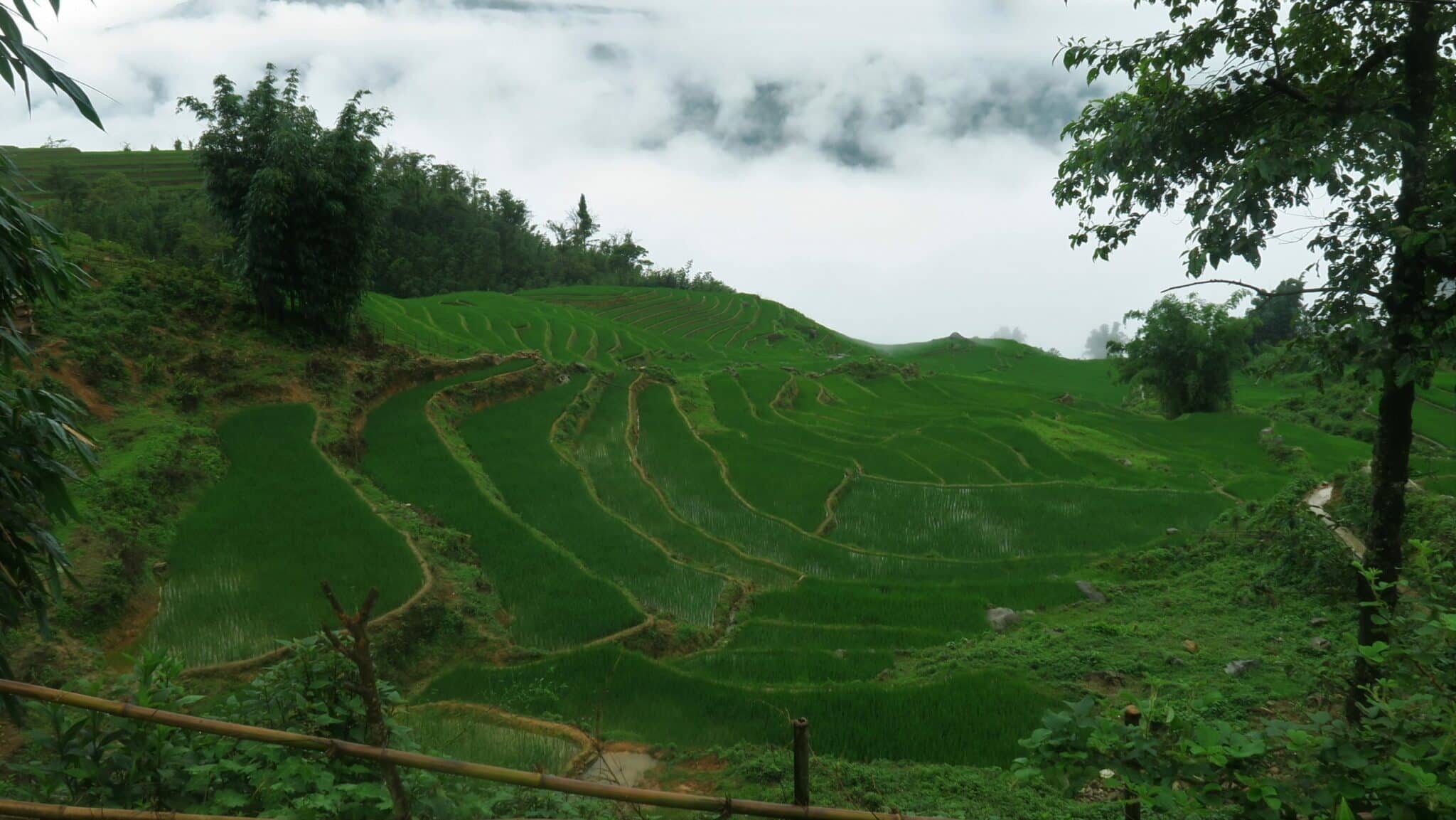 Sapa, getting lost into the greenest Vietnam