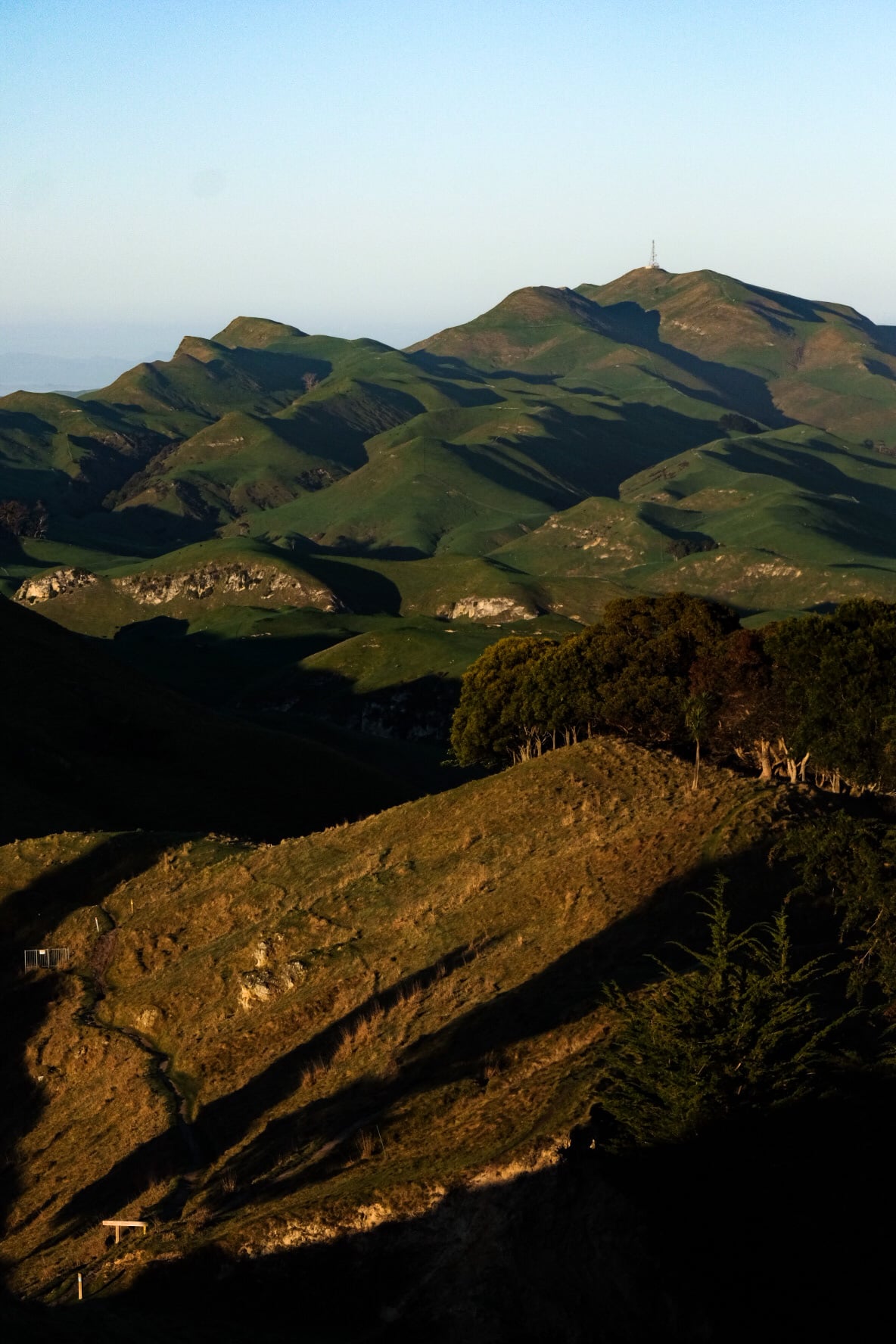 Te Mata Peak Hike