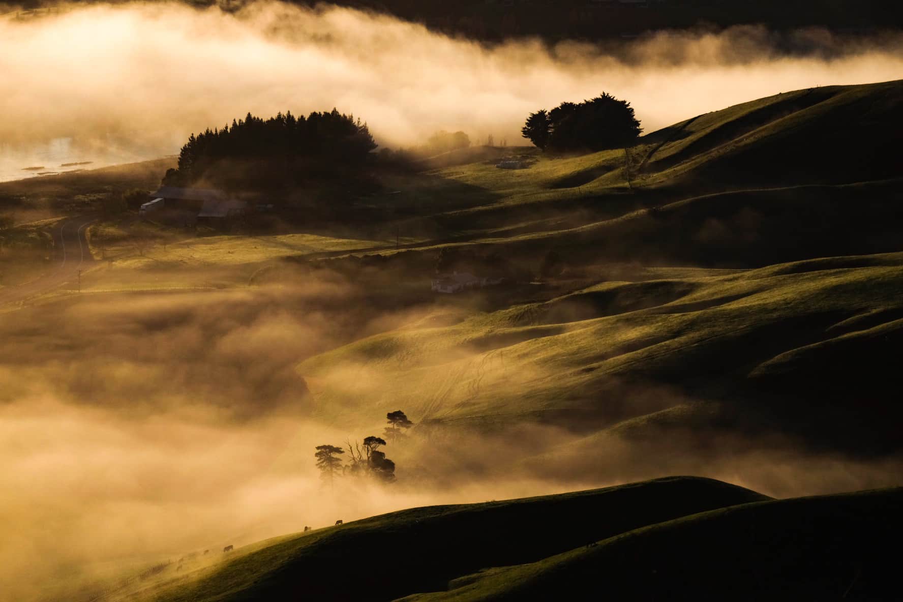 Te Mata Peak Hike