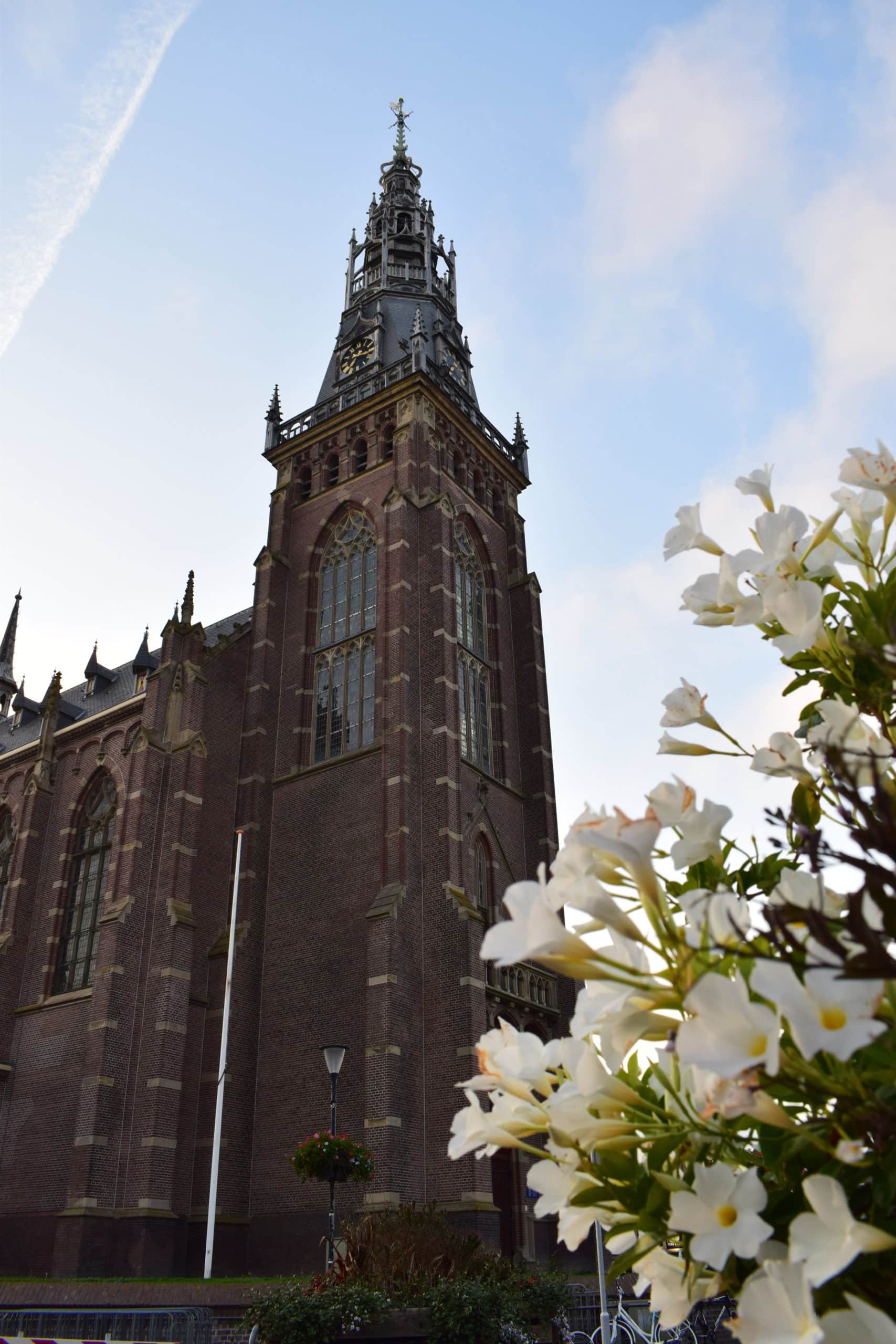 Road trip to North Holland: Sint Maartenszee, Alkmaar & Haarlem