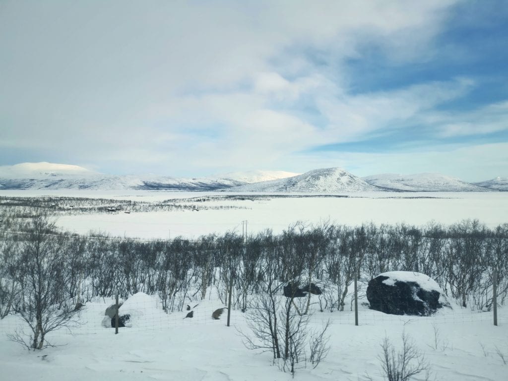 Into the wild Lapland – Sweden