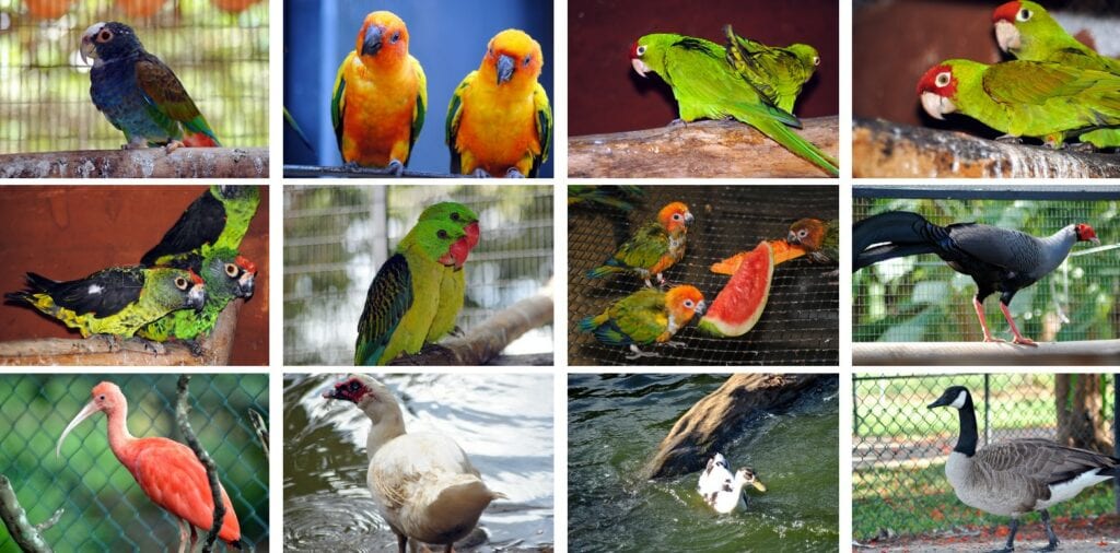 Asia’s largest Birds Park in Hambanthota, Sri lanka