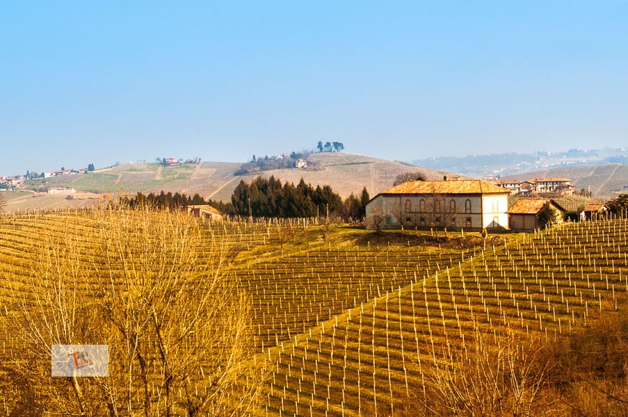 By bicycle in the Nebbiolo hills