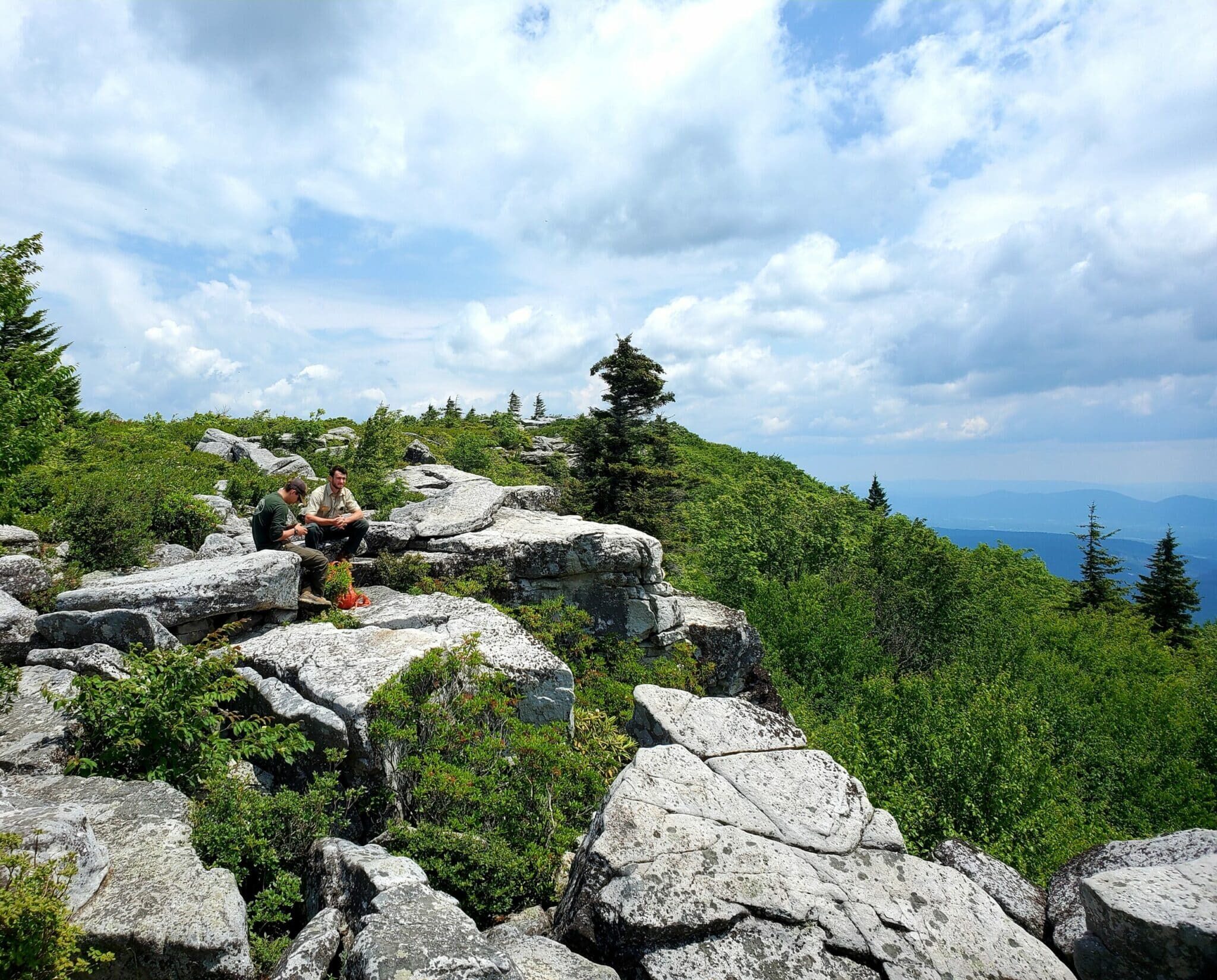The Dolly Sods Wilderness.