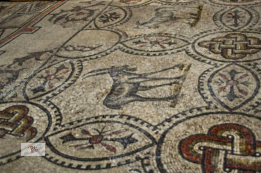 Aquileia: basilica, the mosaics