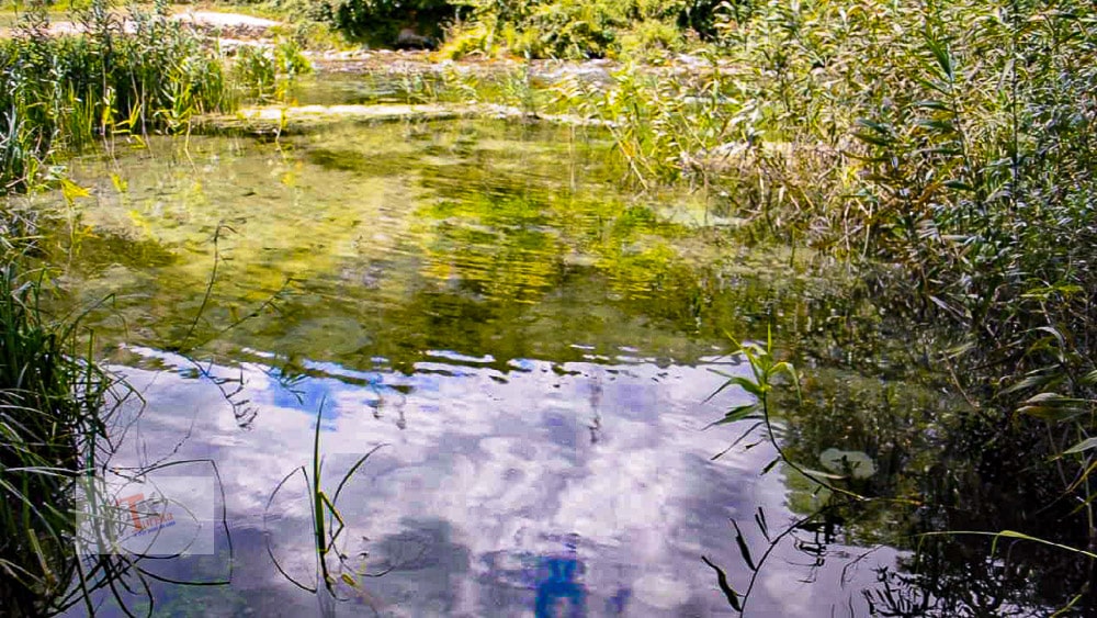 Popoli, Sorgenti del Pescara Nature Reserve, reflections on the water