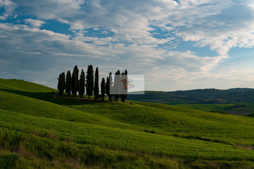 San Quirico d'Orcia, panorama of the Sienese countryside